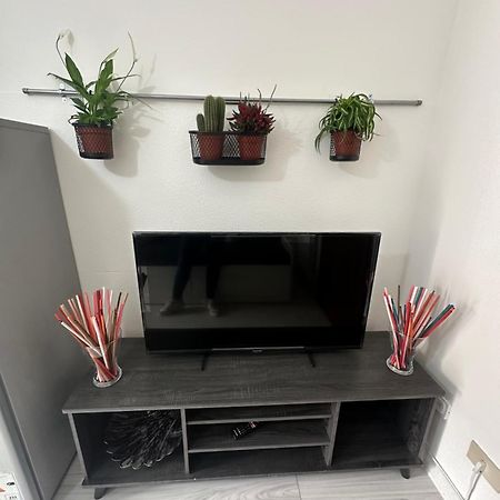 B&B Luna Rosa Pisa Eksteriør bilde